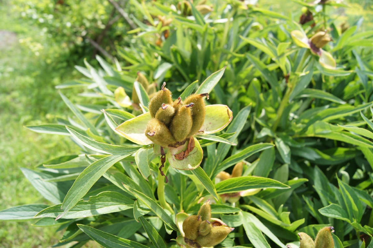  Заезд на огород.