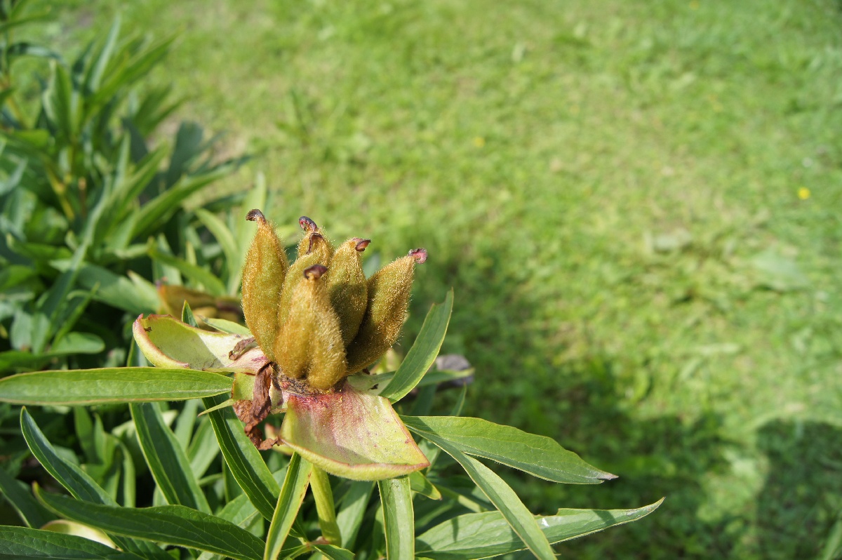  Заезд на огород.