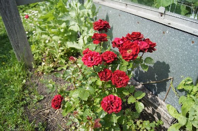 Заезд на огород