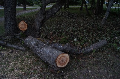 Город Пярну