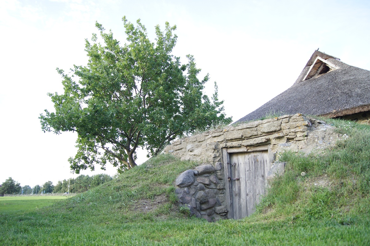 Погреб. Музей Виймси на открытом воздухе.