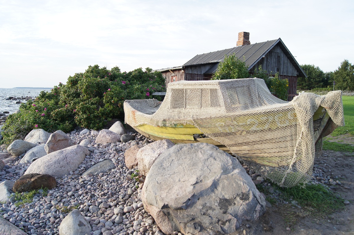  Музей Виймси на открытом воздухе.
