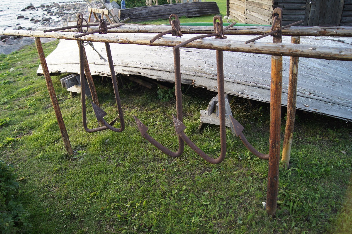  Музей Виймси на открытом воздухе.