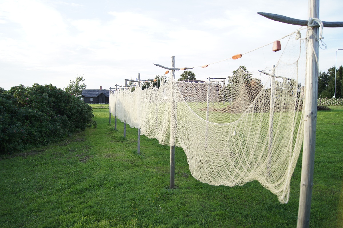  Музей Виймси на открытом воздухе.