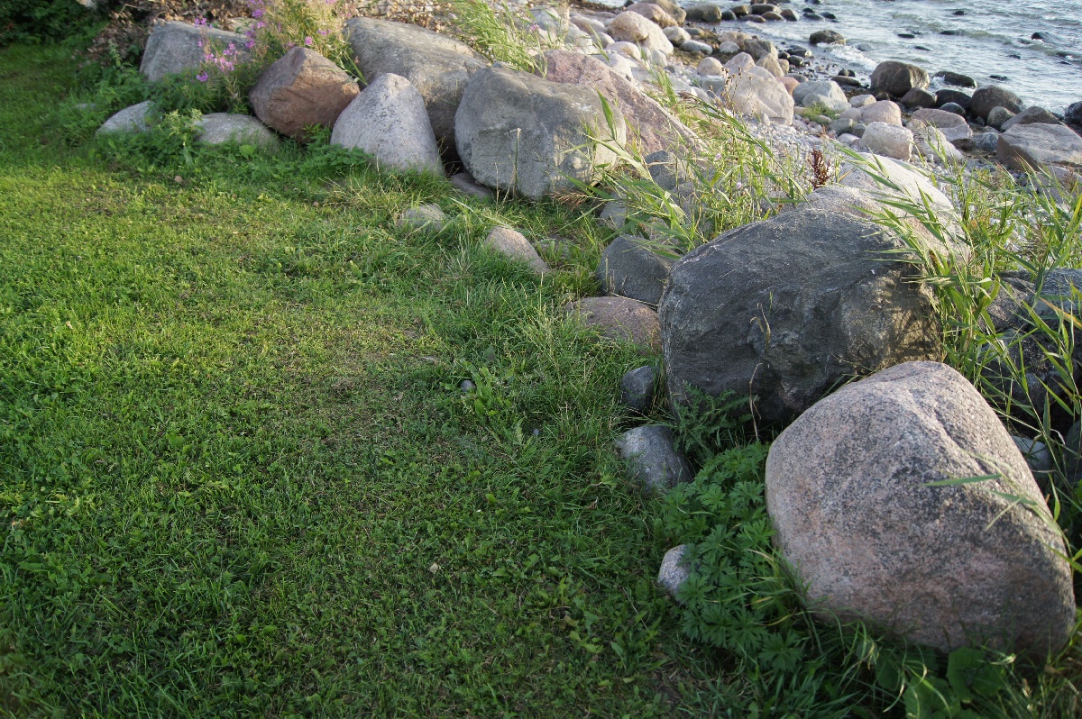  Музей Виймси на открытом воздухе.