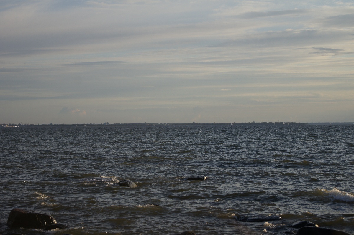 Вид на Таллинн. Музей Виймси на открытом воздухе.