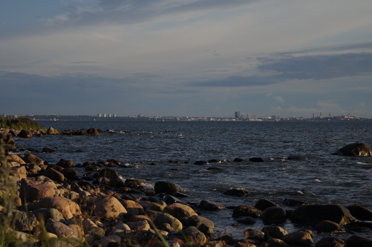 Вид на Таллинн. Музей Виймси на открытом воздухе.