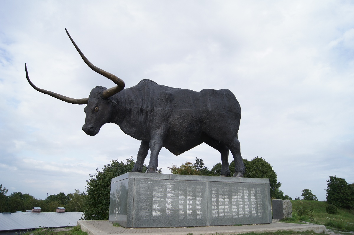 Тарвас (бык). Замок (городище) Раквере.