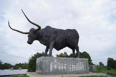 Замок (городище) Раквере Замок (городище) Раквере