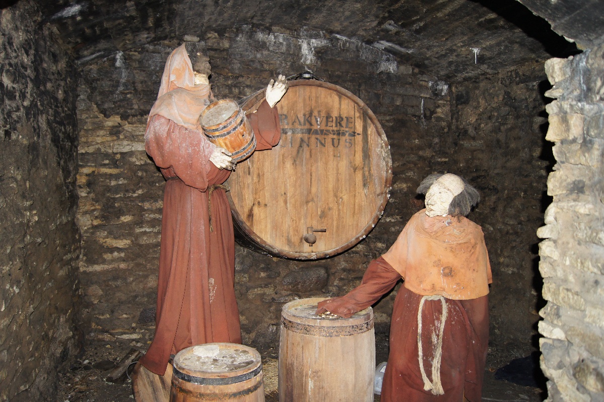 Винный погреб. Замок (городище) Раквере.