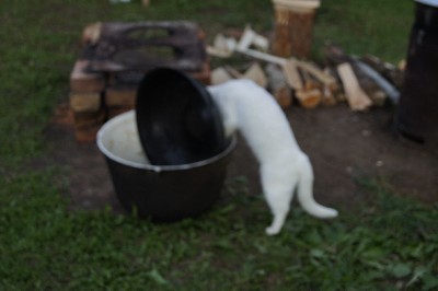 Алатскиви и ножи ручной работы.