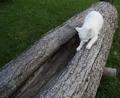 Алатскиви и ножи ручной работы.