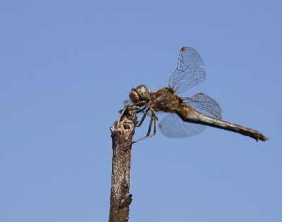 Алатскиви и ножи ручной работы.
