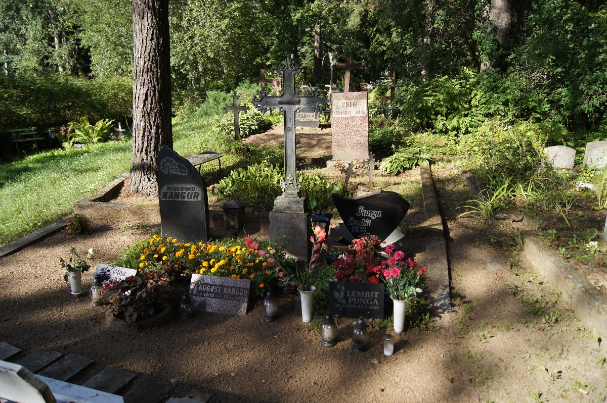  Alatskivi cemetery.