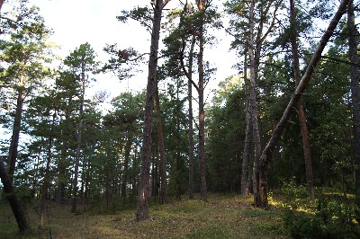 Matsi rand (Matsi beach)