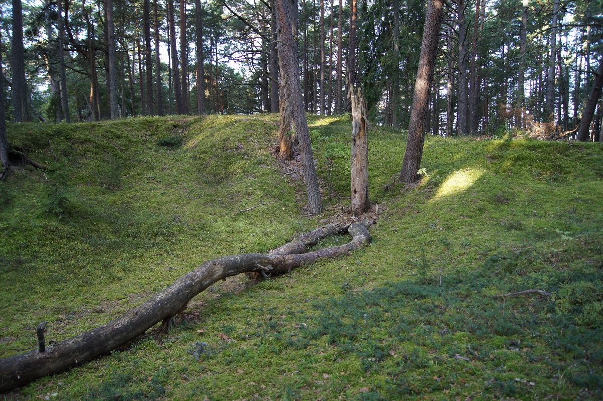  Matsi rand 2011. Holiday in Estonia, Matsi beach.