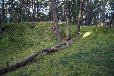 Matsi rand (Matsi beach)