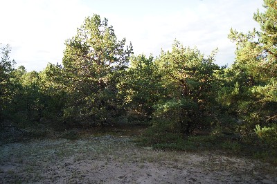 Matsi rand (Matsi beach)