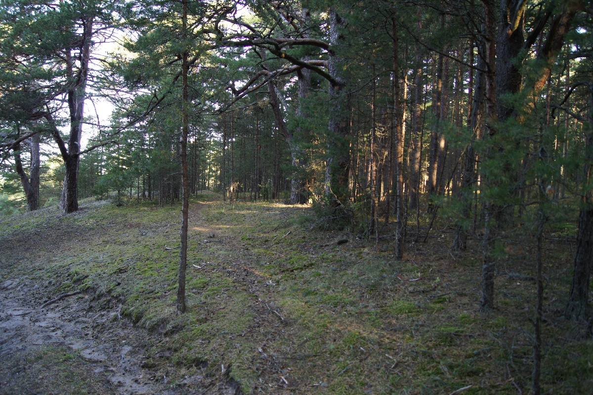  Matsi rand 2011. Holiday in Estonia, Matsi beach.