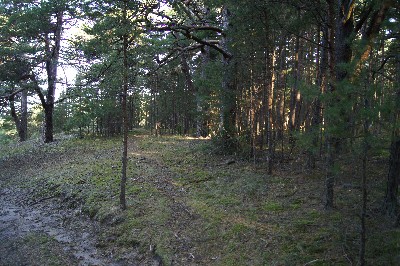 Matsi rand (Matsi beach)