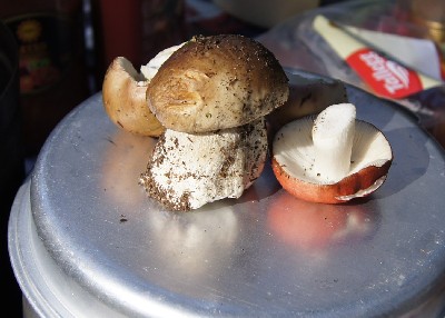 Matsi rand (Matsi beach)