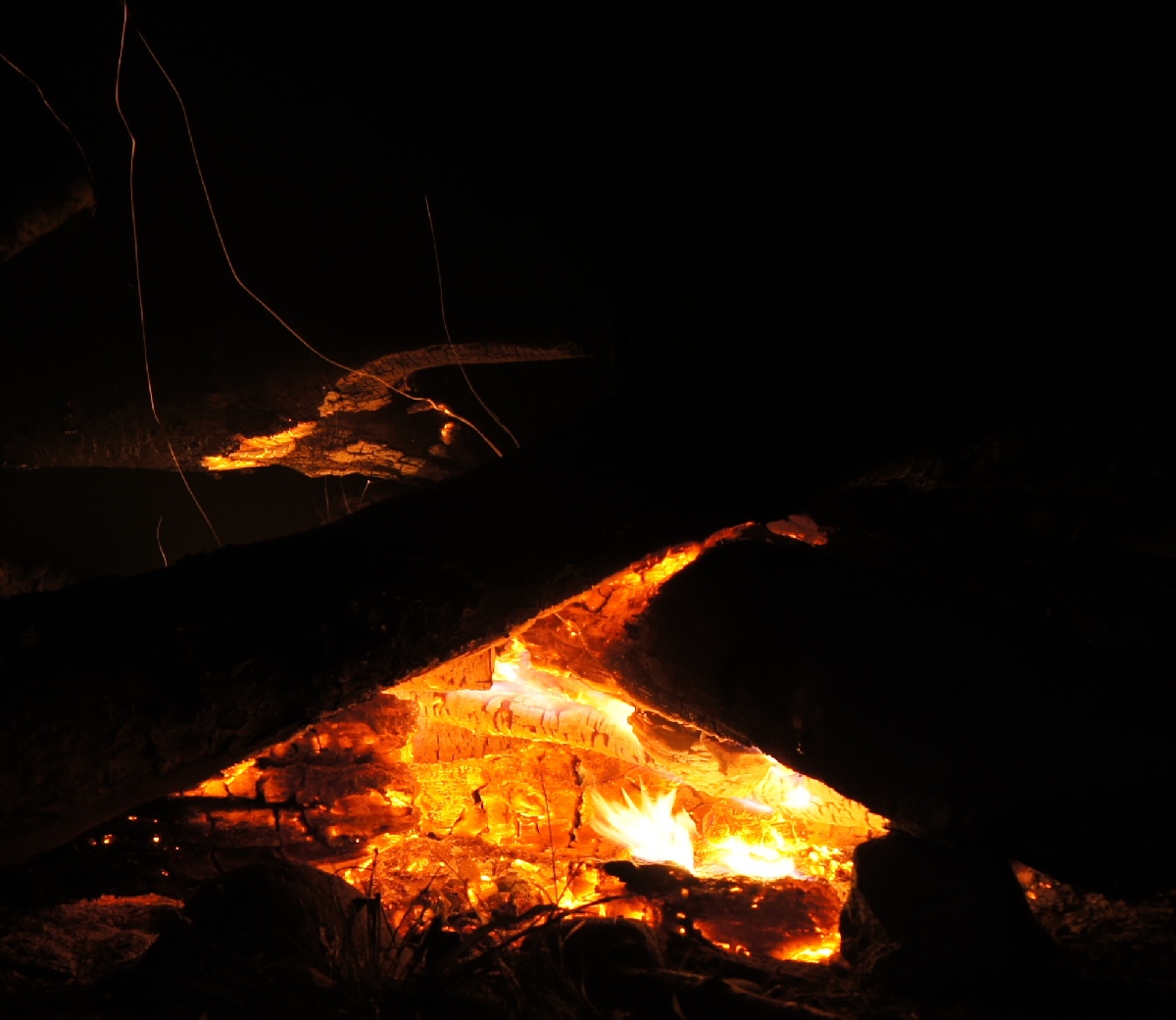 Bonfire.  Matsi rand 2011. Holiday in Estonia, Matsi beach.