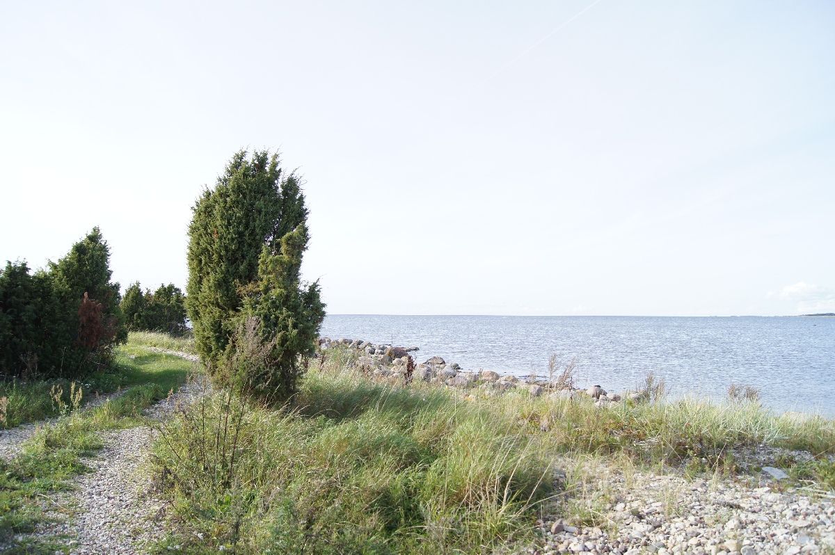 Rannik.  Matsi rand 2011. Puhka Eestis.