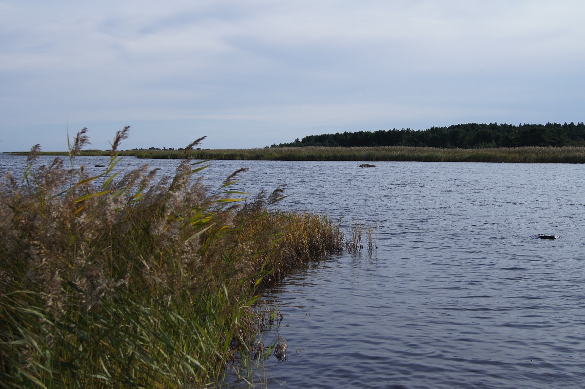 Saulepi, marine Park Kihnu Vaina (Kihnu Väina Merepark). Matsi rand 2011. Holiday in Estonia, Matsi beach.