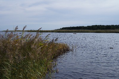 Matsi rand (Matsi beach)