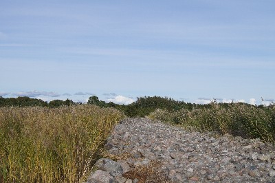 Matsi rand (Matsi beach)