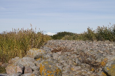 Matsi rand (Matsi beach)
