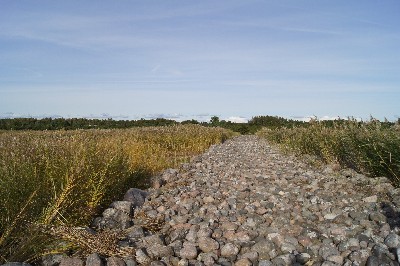Matsi rand (Matsi beach)