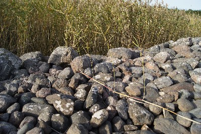 Matsi rand (Matsi beach)