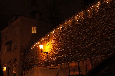 Новый год 2012.