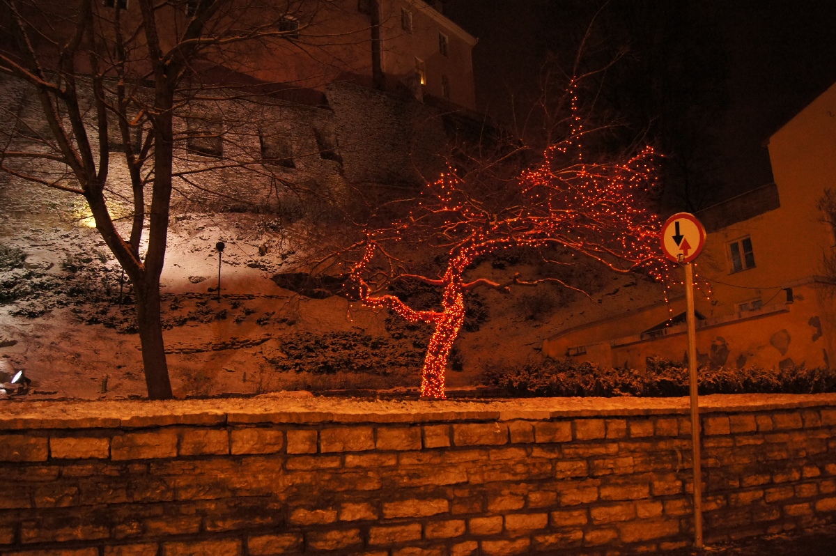 Новый год 2012, Таллинн, старый город.