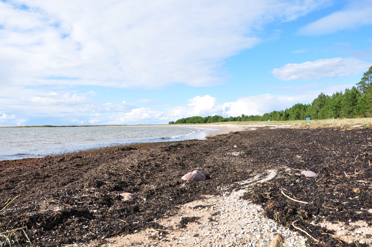 Rannik.  Matsi rand 2011. Puhka Eestis.
