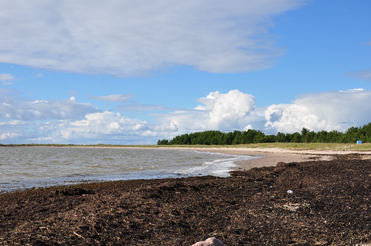 Rannik.  Matsi rand 2011. Puhka Eestis.