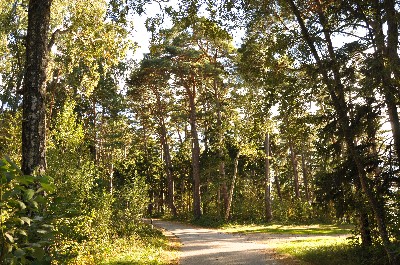 Matsi rand (Matsi beach)