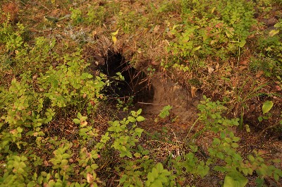 Matsi rand (Matsi beach)