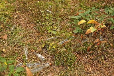 Matsi rand (Matsi beach)