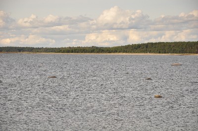 Matsi rand (Matsi beach)