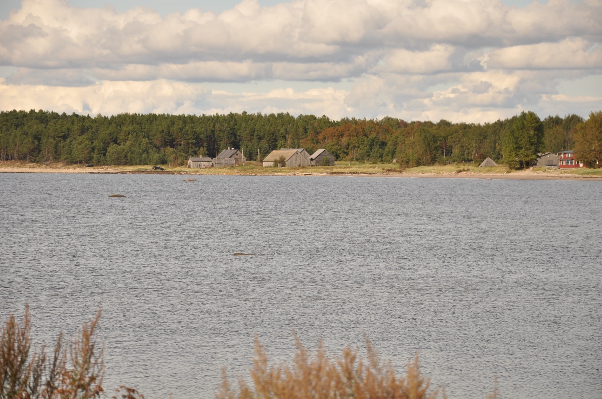 Море.  Матси ранд 2011. Отдых в Эстонии, Matsi rand.