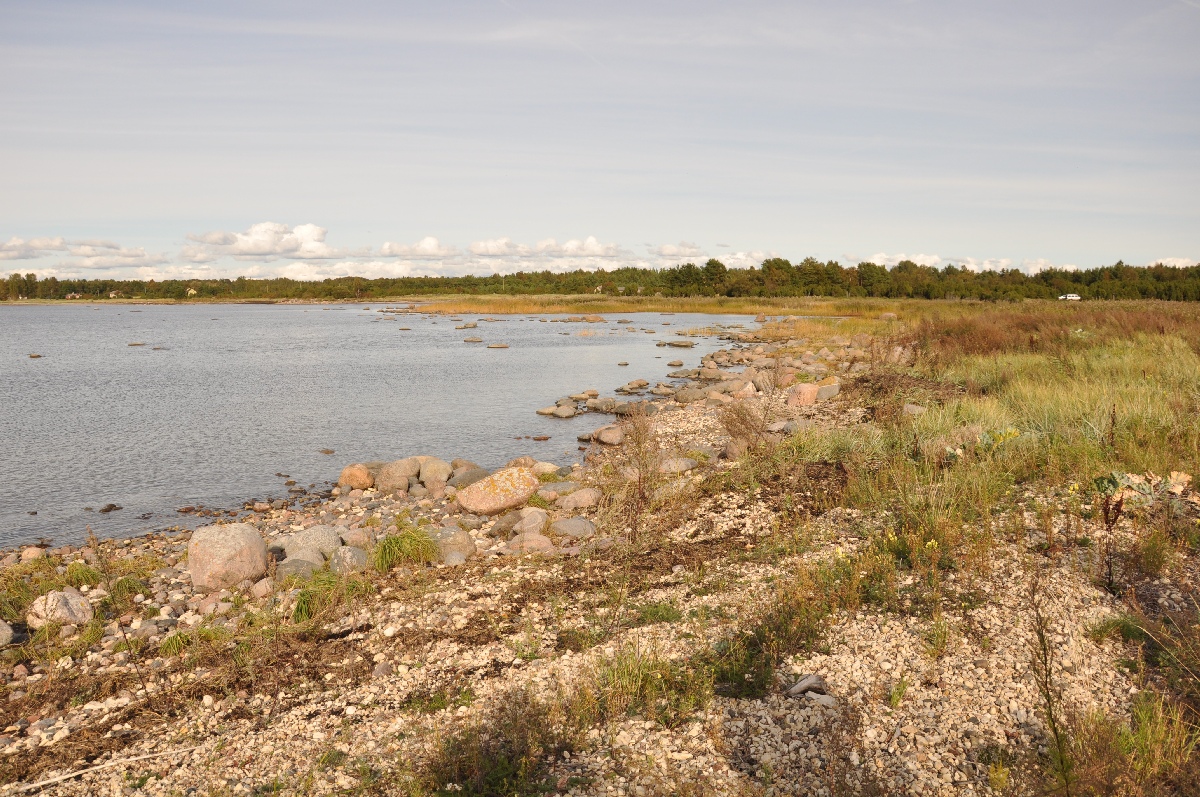 Sea.  Matsi rand 2011. Holiday in Estonia, Matsi beach.