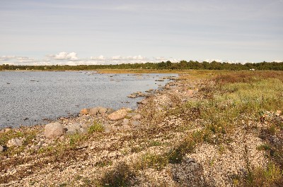 Matsi rand (Matsi beach)