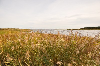 Matsi rand (Matsi beach)