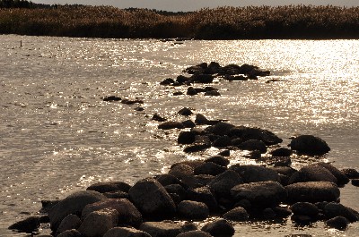Matsi rand (Matsi beach)