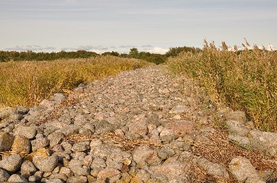 Matsi rand (Matsi beach)