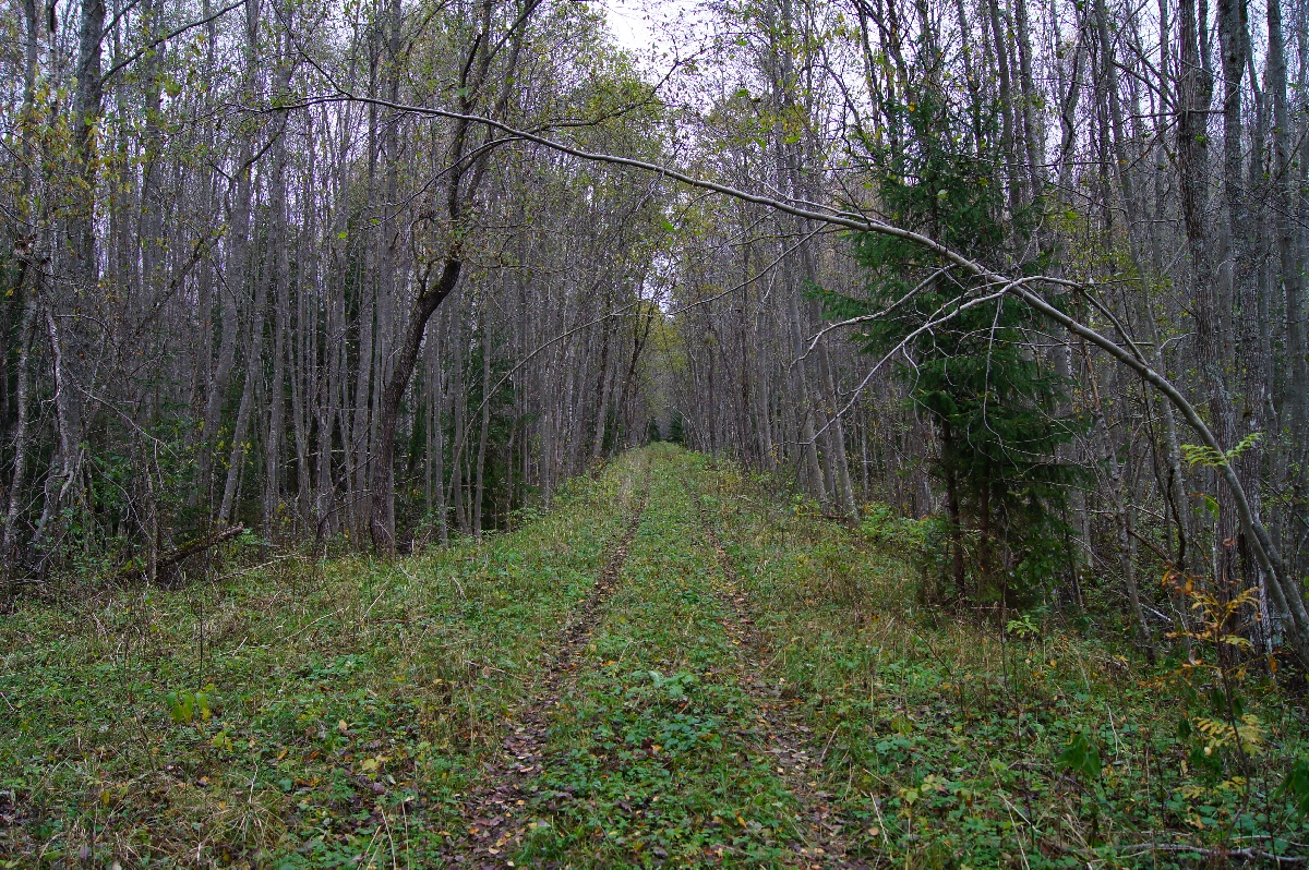  Наблюдательный пункт пво в Кикепера. 