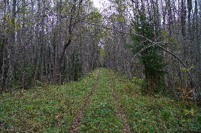 Остатки наблюдательноко пункта пво под Пярну