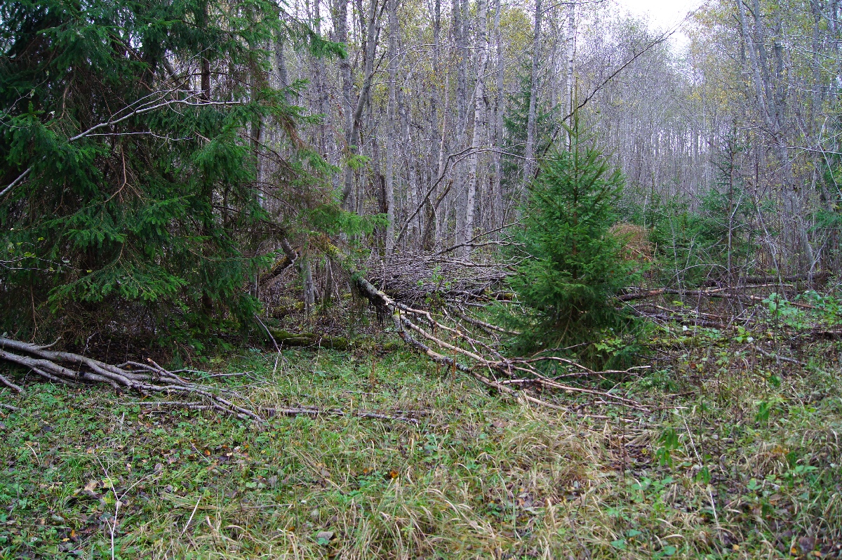  Наблюдательный пункт пво в Кикепера. 
